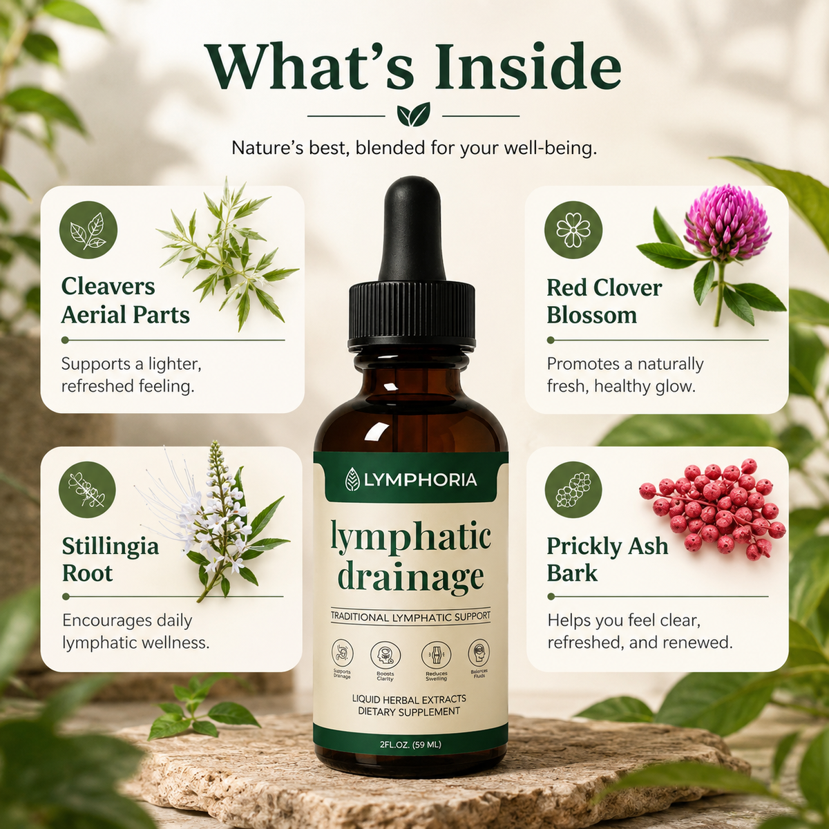 Lymora™Botanical Lymph Drops